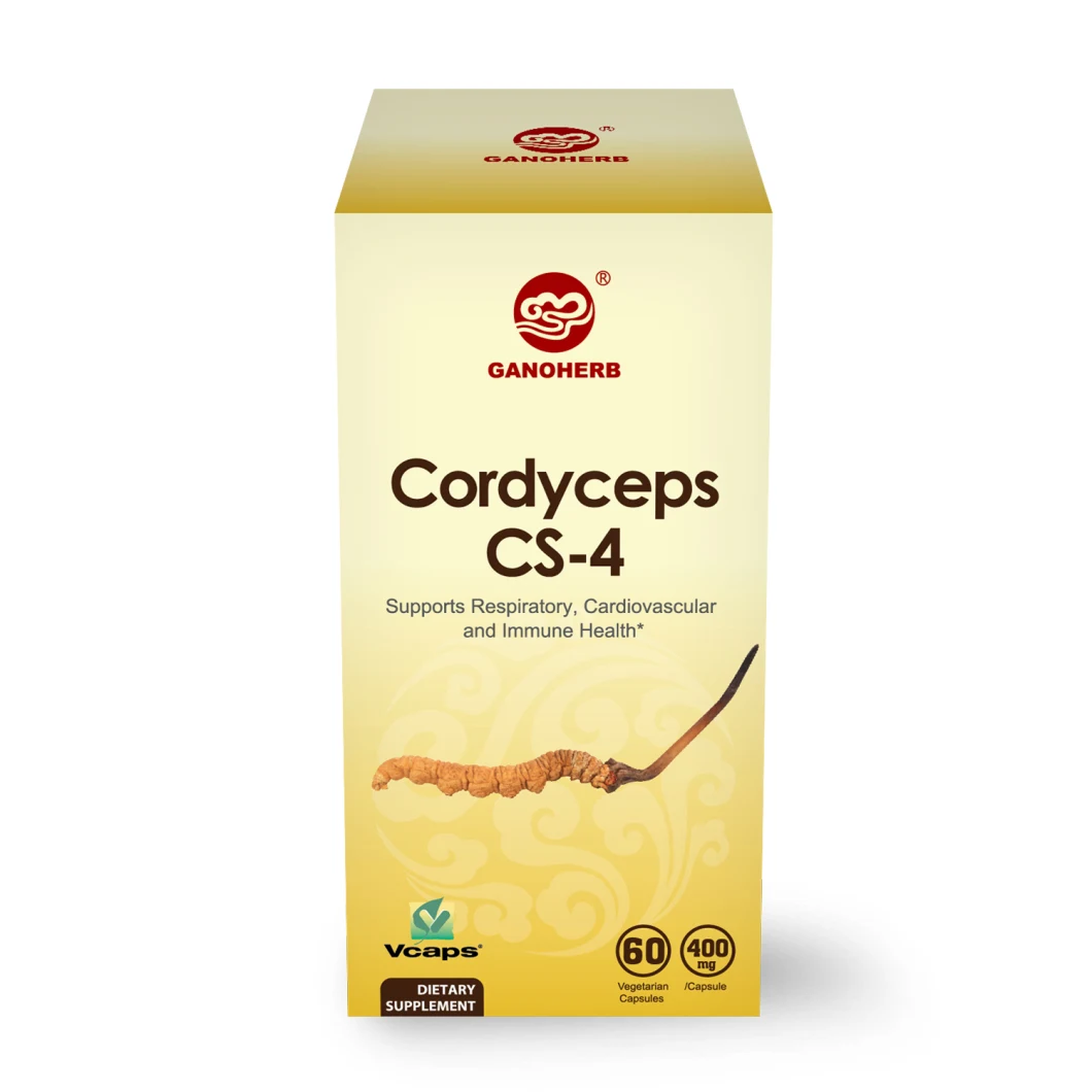 Cordyceps CS-4 800mg 60 Vegetarian Capsules (Non-GMO &amp; Gluten Free) Sinensis Immunity Supplement Capsules Energy and Immune Health Support