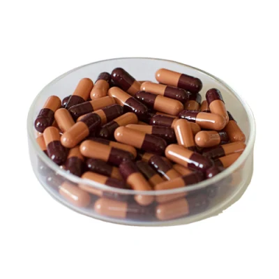 Vegetable Empty Capsule Shell Plant Extract Capsules